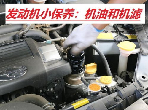 汽车保养多少机油合适